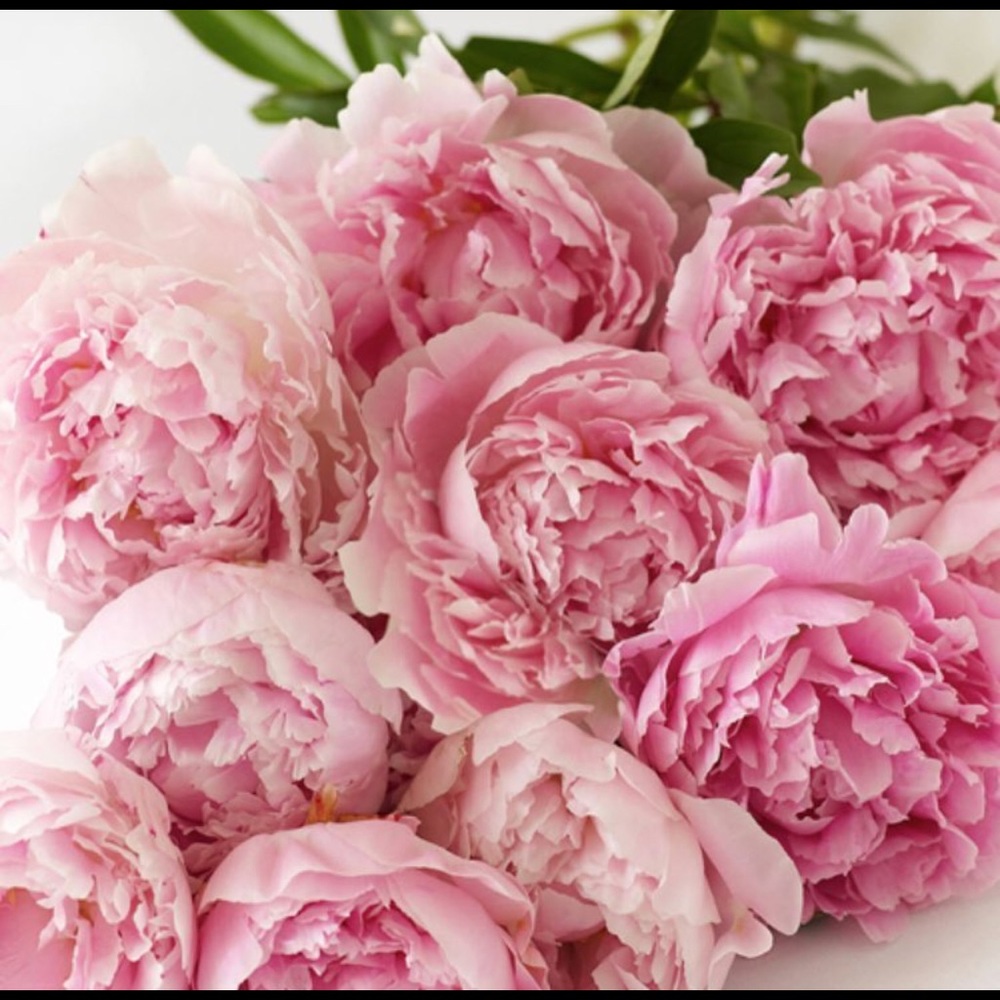 Meet your Posher, Mayra